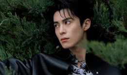 白鹿王鹤棣最新爆料,幕后故事与心路历程