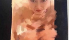 李梦爆料视频大全最新,揭秘娱乐圈幕后真相