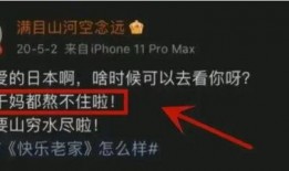 最新内鬼爆料视频大全,揭秘行业黑幕与真相