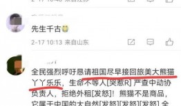 乐乐熊猫最新爆料消息,最新爆料带你探秘娱乐圈风云