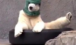 爆料最新角色沙雕图片大全,盘点最新爆笑形象大盘点