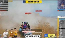 zoo车队最新爆料,最新爆料揭示赛车界风云变幻！”