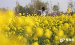 春暖花开最新爆料,揭秘最新爆料背后的精彩故事