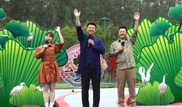 影豹爆料视频大全最新版,揭秘性能与设计亮点