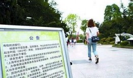 中山公园最新爆料新闻,神秘事件引发公众热议