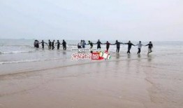 燕赵都市最新爆料,最新爆料事件深度解析