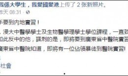 宝安媒体爆料最新消息,重大事件引发关注，详情即将揭晓！