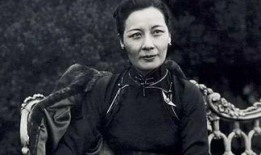 宋美龄最新爆料视频大全,最新爆料视频大全背后的故事与真相