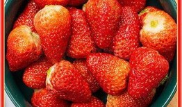 丹东草莓爆料视频最新,口感鲜美，品质卓越，带你领略东北草莓魅力