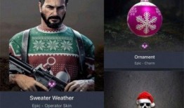 战区组合包最新爆料,揭秘神秘战区组合，战力升级一触即发！